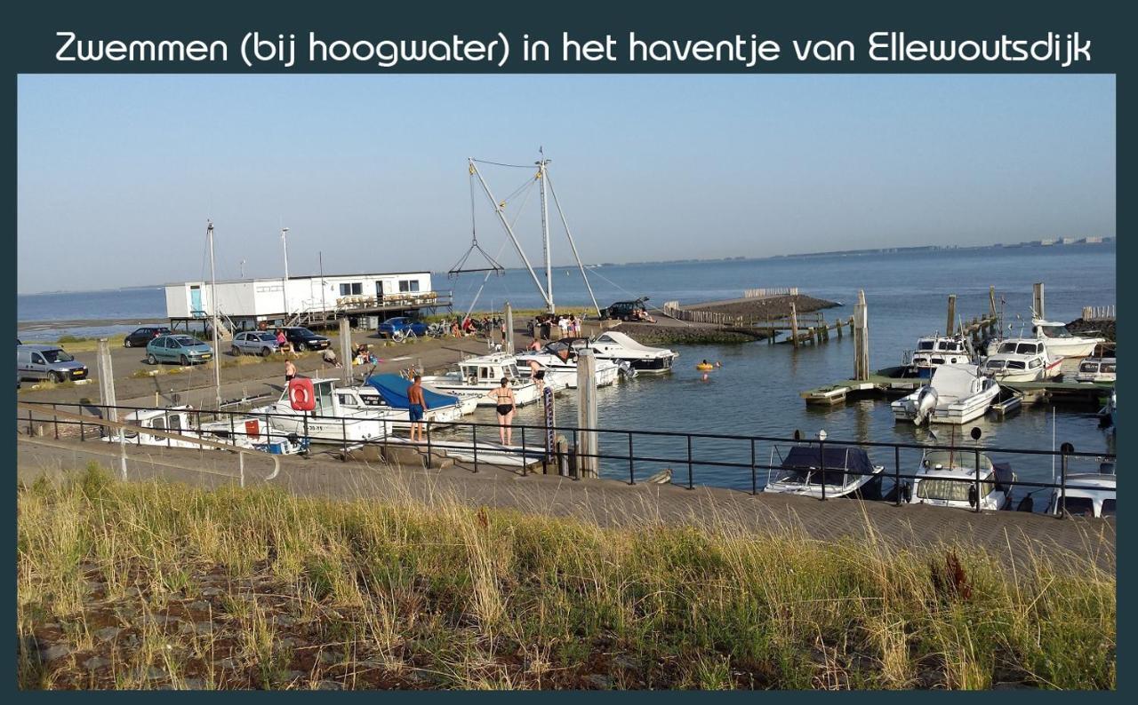 Vakantiewoning Deltahof Ellewoutsdijk Экстерьер фото