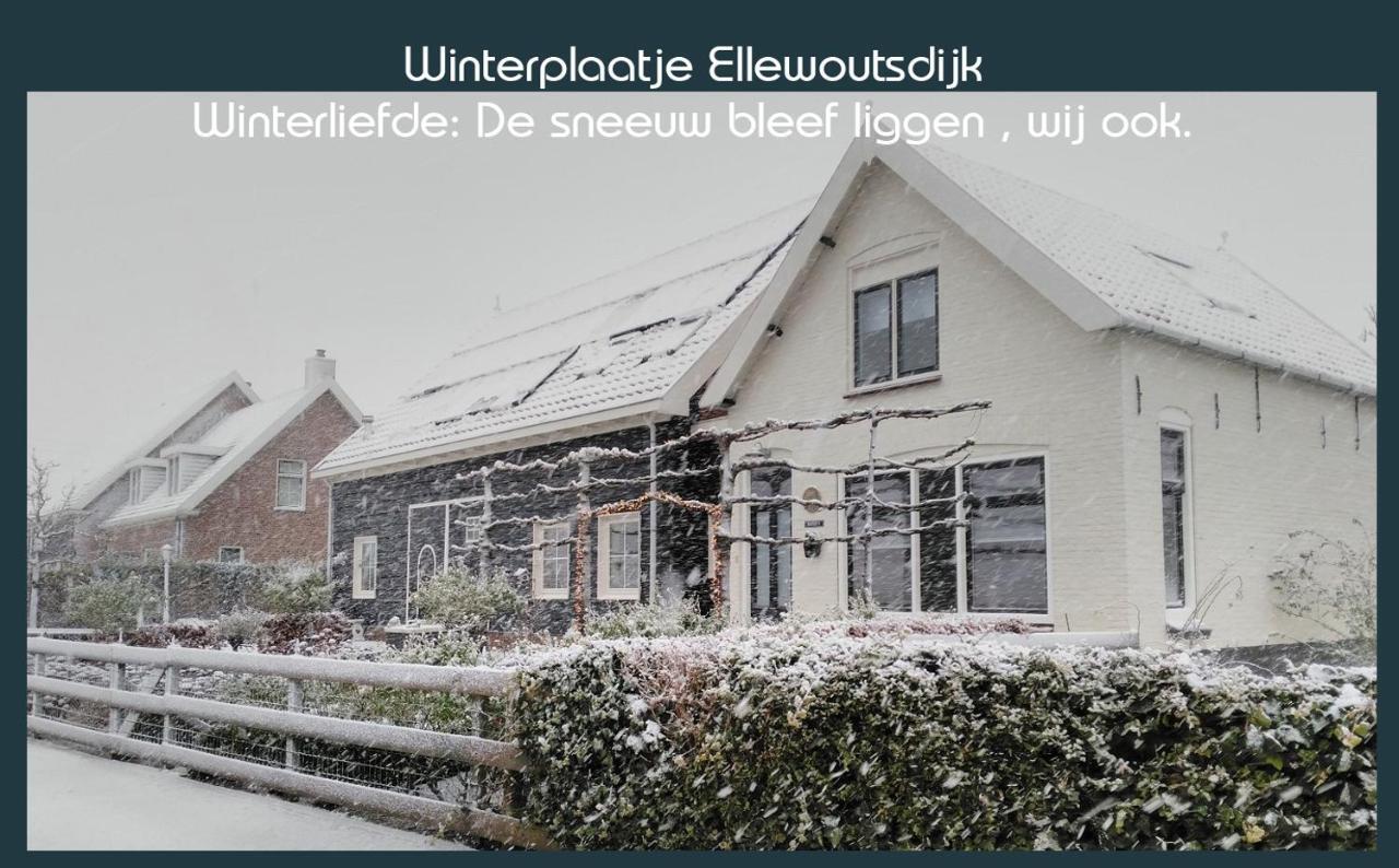 Vakantiewoning Deltahof Ellewoutsdijk Экстерьер фото